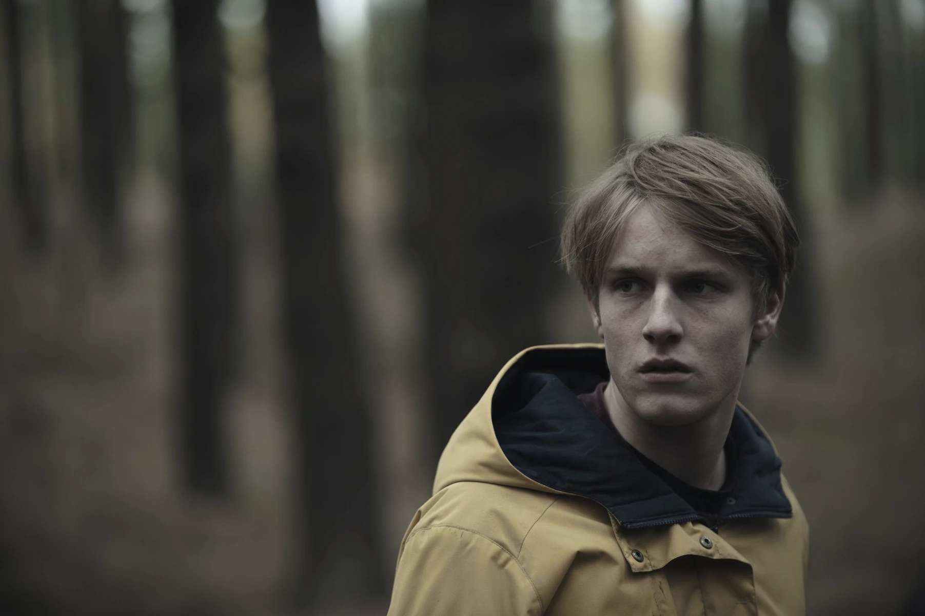 Serien – Archiv- oder Szenenmotiv